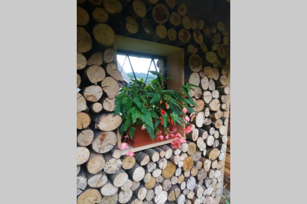 Hut At The Forest Male Brusnice 外观 照片