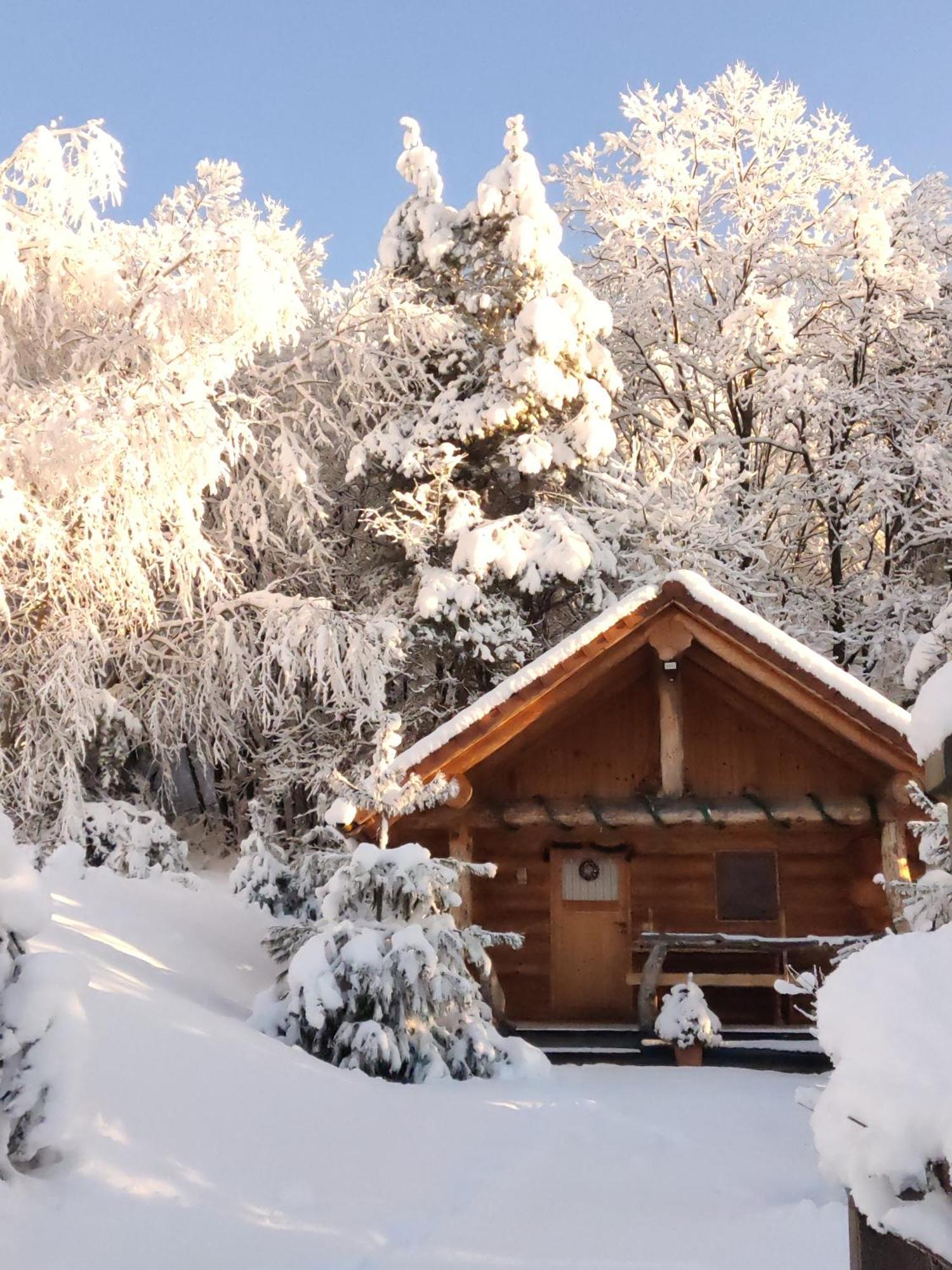 Hut At The Forest Male Brusnice 外观 照片