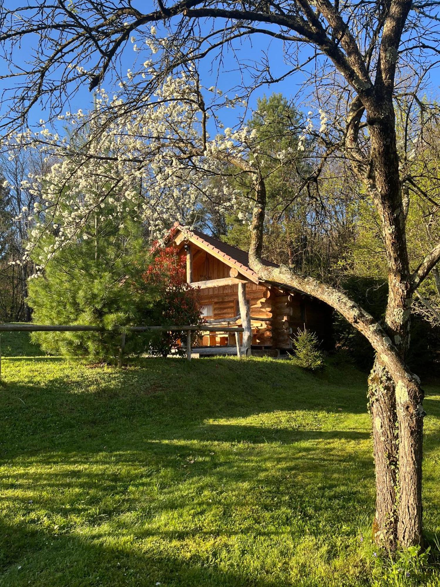 Hut At The Forest Male Brusnice 外观 照片